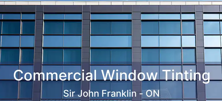  Commercial Window Tinting Sir John Franklin - ON