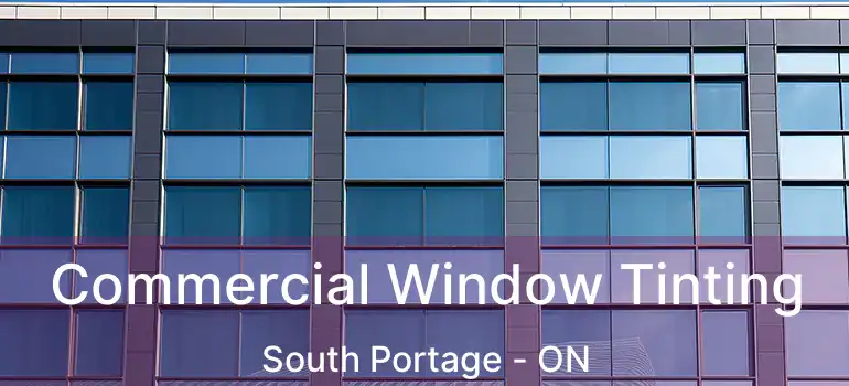  Commercial Window Tinting South Portage - ON