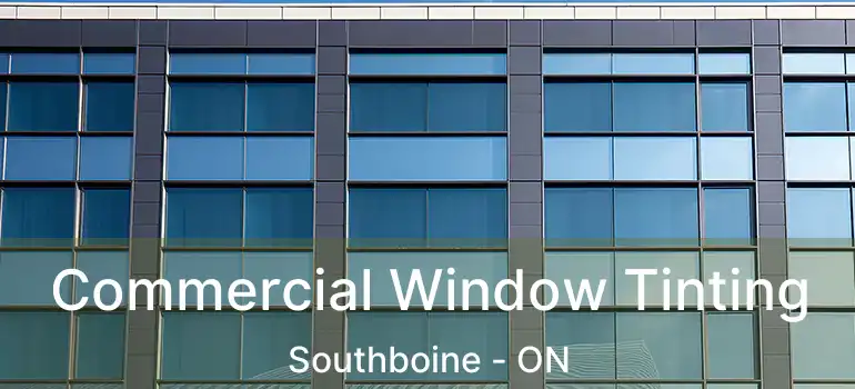  Commercial Window Tinting Southboine - ON