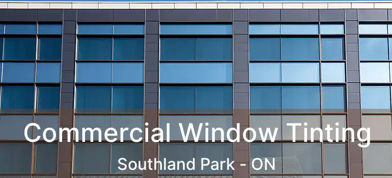  Commercial Window Tinting Southland Park - ON