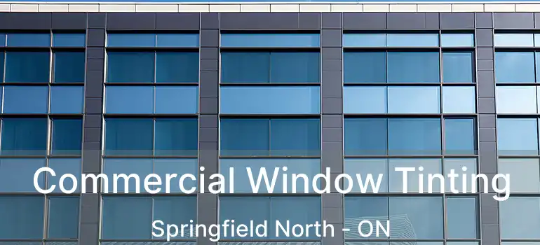  Commercial Window Tinting Springfield North - ON