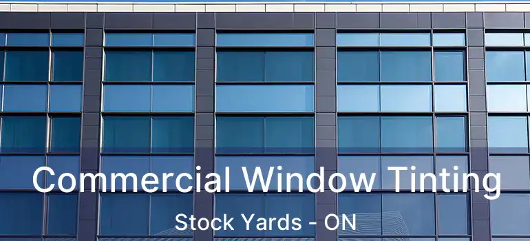  Commercial Window Tinting Stock Yards - ON