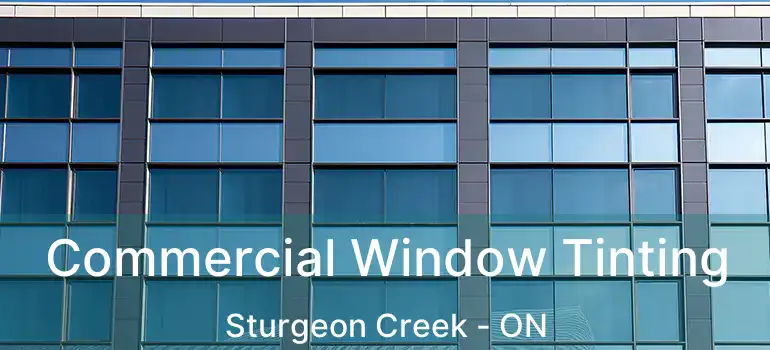  Commercial Window Tinting Sturgeon Creek - ON