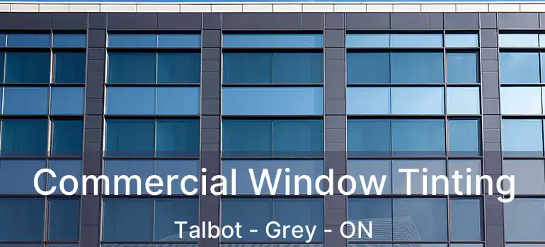  Commercial Window Tinting Talbot - Grey - ON