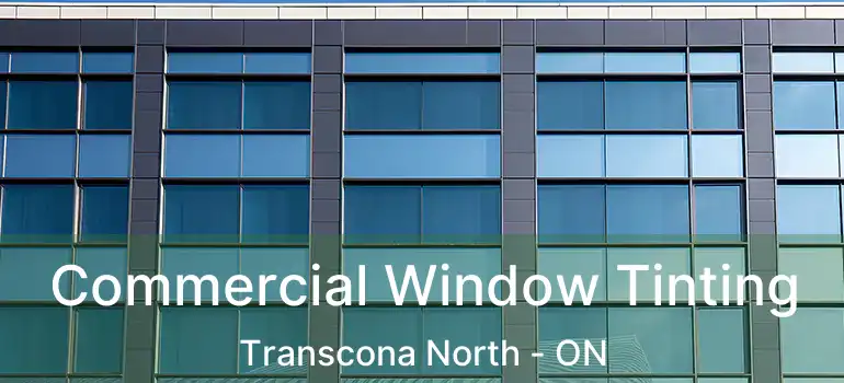  Commercial Window Tinting Transcona North - ON