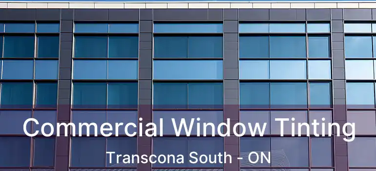  Commercial Window Tinting Transcona South - ON