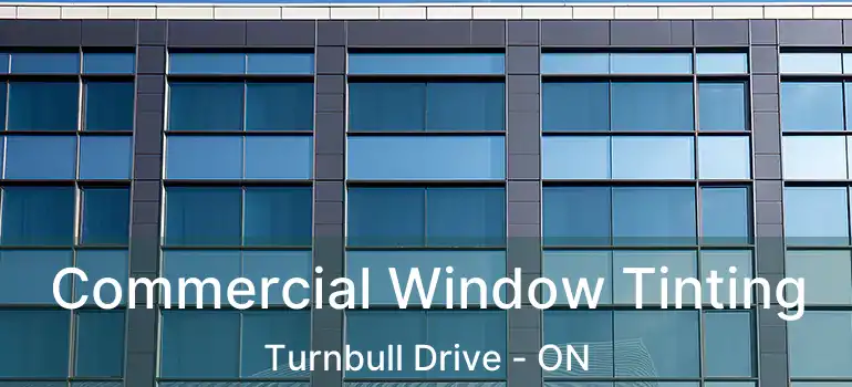  Commercial Window Tinting Turnbull Drive - ON