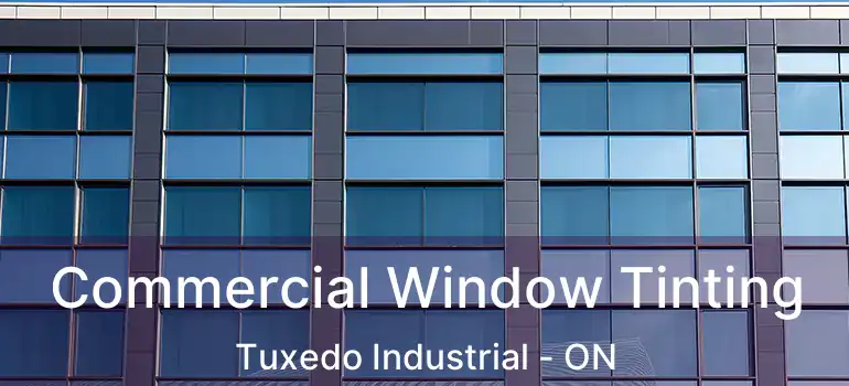  Commercial Window Tinting Tuxedo Industrial - ON