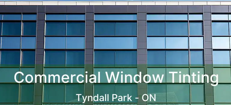  Commercial Window Tinting Tyndall Park - ON