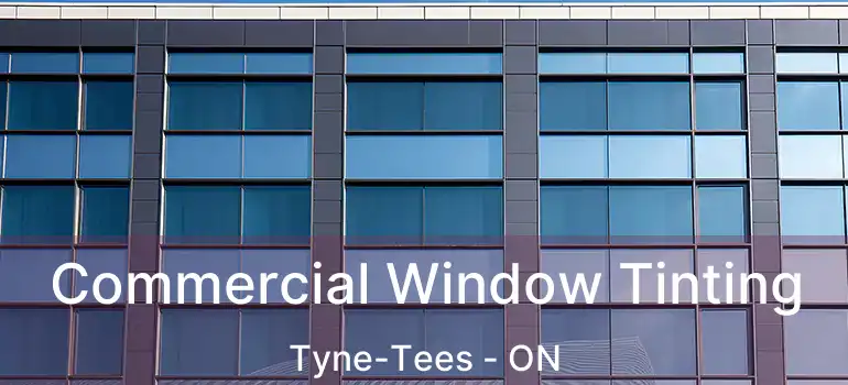  Commercial Window Tinting Tyne-Tees - ON