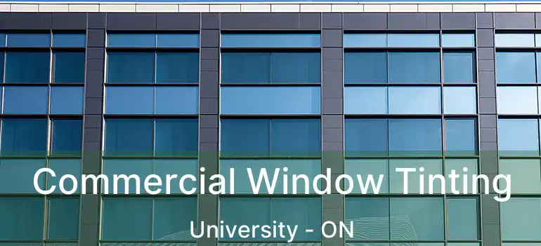  Commercial Window Tinting University - ON