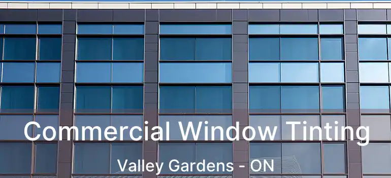  Commercial Window Tinting Valley Gardens - ON