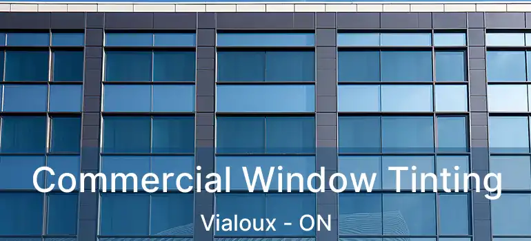  Commercial Window Tinting Vialoux - ON