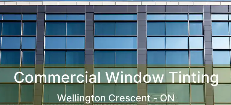  Commercial Window Tinting Wellington Crescent - ON