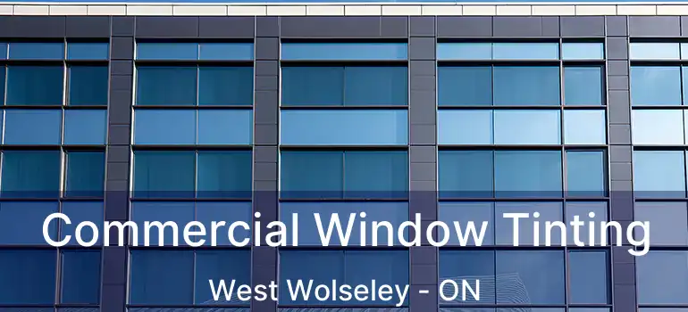  Commercial Window Tinting West Wolseley - ON