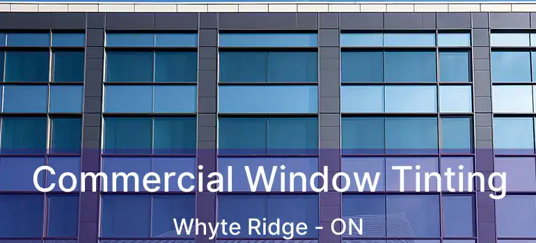  Commercial Window Tinting Whyte Ridge - ON