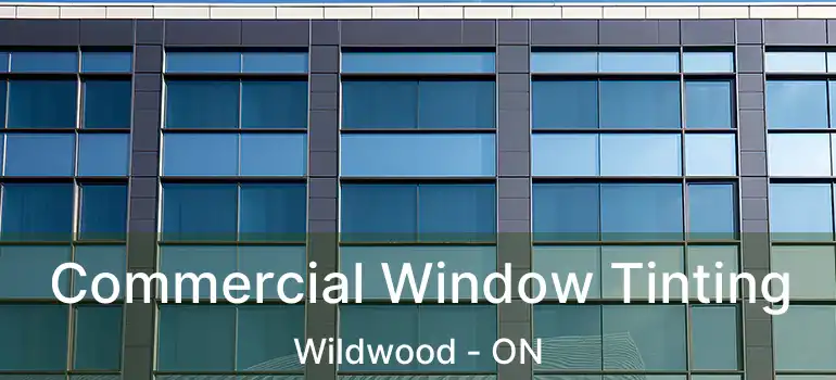  Commercial Window Tinting Wildwood - ON