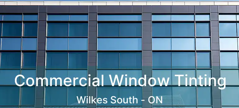  Commercial Window Tinting Wilkes South - ON