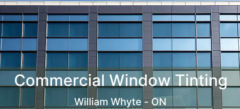  Commercial Window Tinting William Whyte - ON