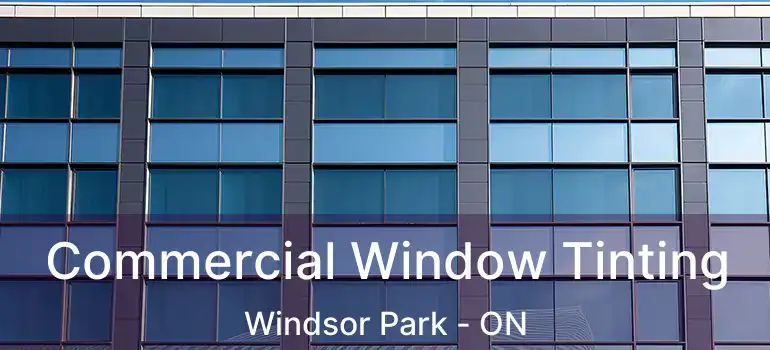  Commercial Window Tinting Windsor Park - ON