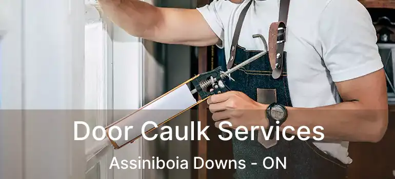  Door Caulk Services Assiniboia Downs - ON