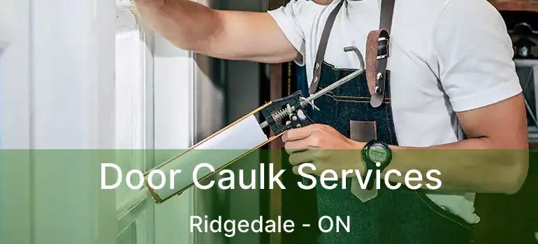  Door Caulk Services Ridgedale - ON