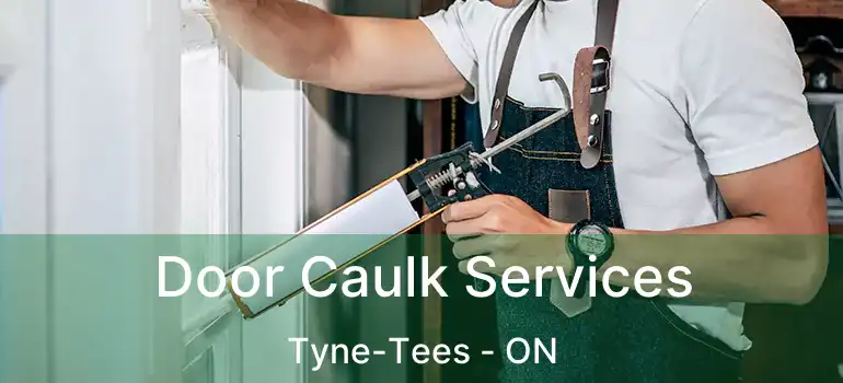  Door Caulk Services Tyne-Tees - ON
