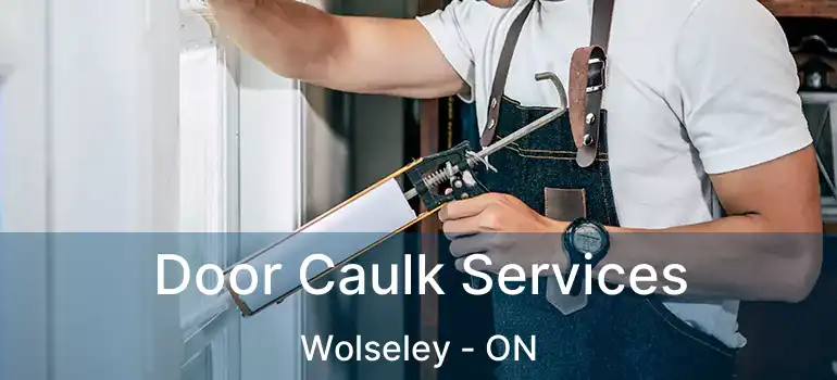  Door Caulk Services Wolseley - ON