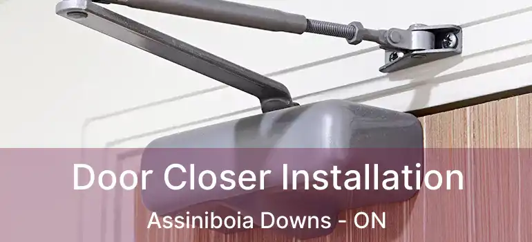  Door Closer Installation Assiniboia Downs - ON