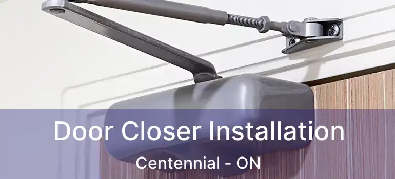  Door Closer Installation Centennial - ON