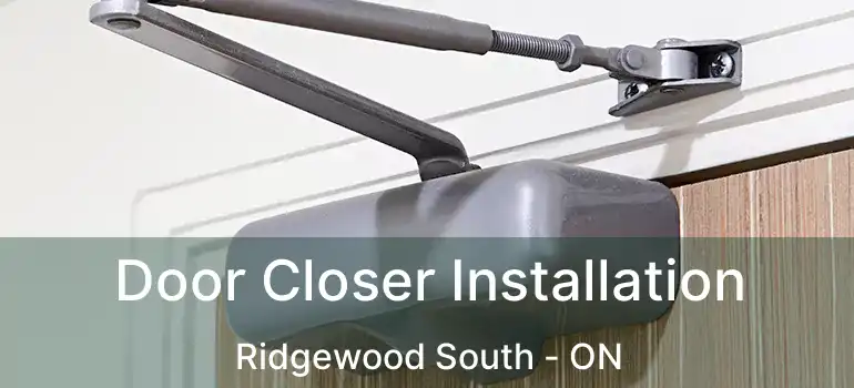  Door Closer Installation Ridgewood South - ON