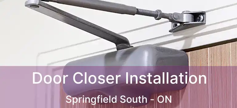  Door Closer Installation Springfield South - ON