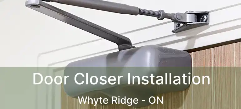  Door Closer Installation Whyte Ridge - ON