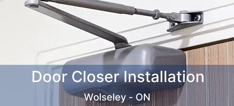  Door Closer Installation Wolseley - ON