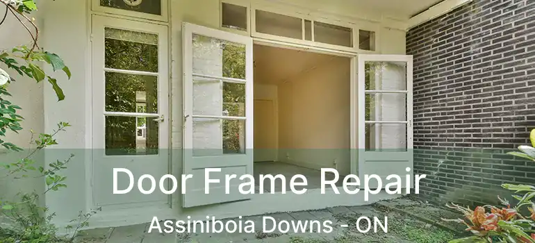  Door Frame Repair Assiniboia Downs - ON