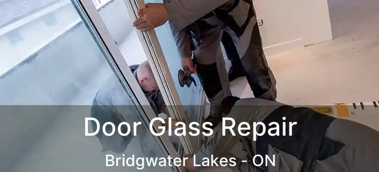  Door Glass Repair Bridgwater Lakes - ON