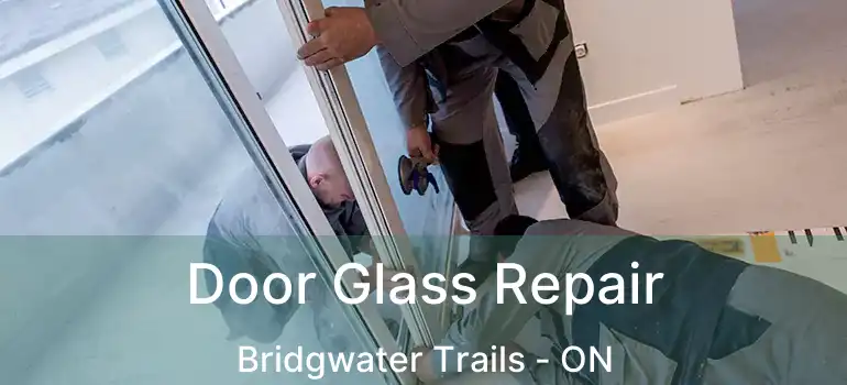  Door Glass Repair Bridgwater Trails - ON