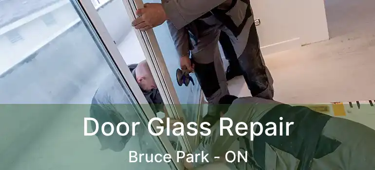  Door Glass Repair Bruce Park - ON