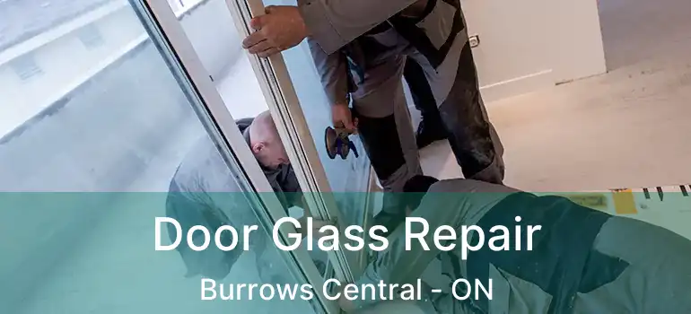  Door Glass Repair Burrows Central - ON