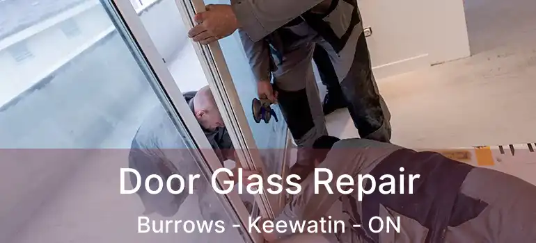  Door Glass Repair Burrows - Keewatin - ON
