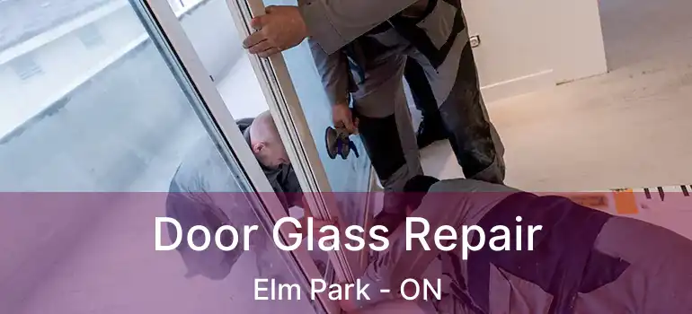  Door Glass Repair Elm Park - ON