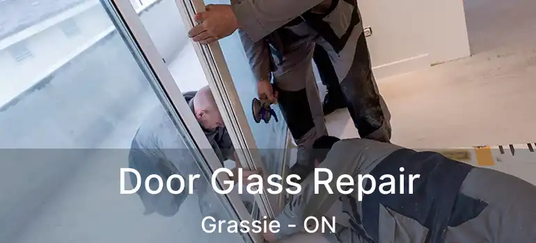  Door Glass Repair Grassie - ON