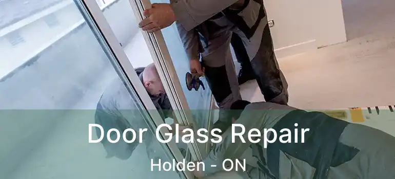  Door Glass Repair Holden - ON