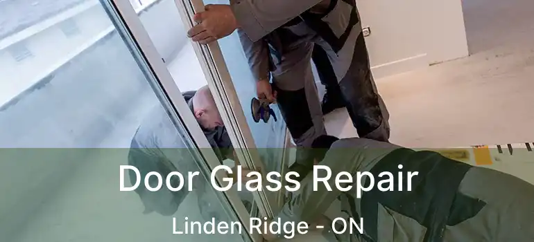  Door Glass Repair Linden Ridge - ON