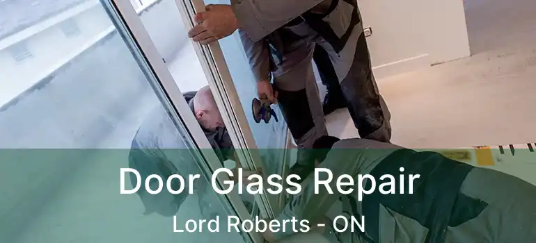  Door Glass Repair Lord Roberts - ON