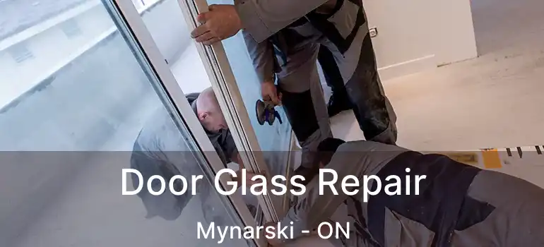  Door Glass Repair Mynarski - ON