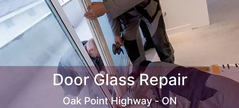  Door Glass Repair Oak Point Highway - ON