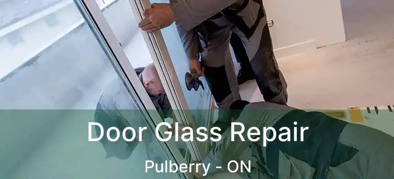  Door Glass Repair Pulberry - ON