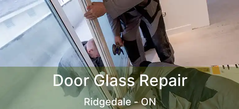 Door Glass Repair Ridgedale - ON