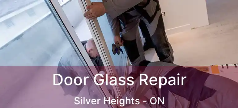  Door Glass Repair Silver Heights - ON